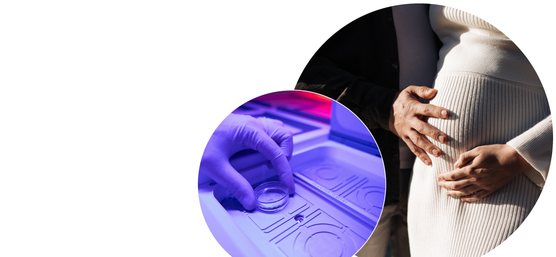 frozen_embryo_transfer